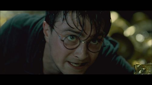 PotterishHP72ABCFamily1-67~2.jpg