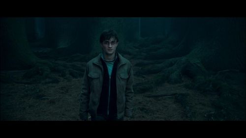 Click to view full size image
==============
PotterishHP72ABCFamily1-6~2.jpg PotterishHP72ABCFamily1-6~2.jpg