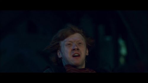 Click to view full size image
==============
PotterishHP72ABCFamily1-71~2.jpg PotterishHP72ABCFamily1-71~2.jpg