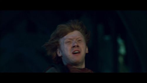 Click to view full size image
==============
PotterishHP72ABCFamily1-72~2.jpg PotterishHP72ABCFamily1-72~2.jpg