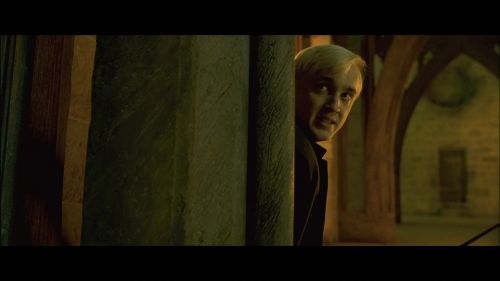 PotterishHP72ABCFamily1-77~2.jpg