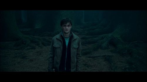 Click to view full size image
==============
PotterishHP72ABCFamily1-7~2.jpg PotterishHP72ABCFamily1-7~2.jpg