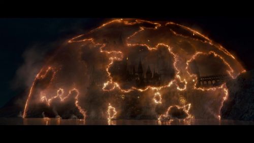 PotterishHP72ABCFamily1-85~2.jpg