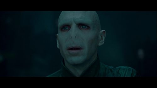 PotterishHP72ABCFamily1-8~2.jpg