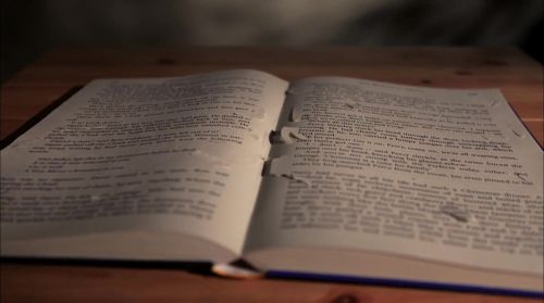 PottermoreAnuncio-Ish-113.jpg