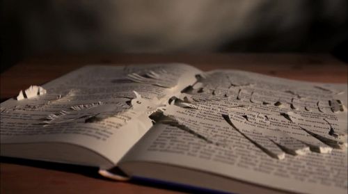 Click to view full size image
==============
PottermoreAnuncio-Ish-116.jpg PottermoreAnuncio-Ish-116.jpg