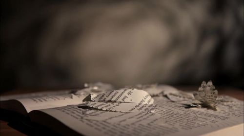 PottermoreAnuncio-Ish-119.jpg