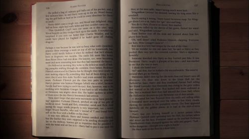 PottermoreAnuncio-Ish-12.jpg