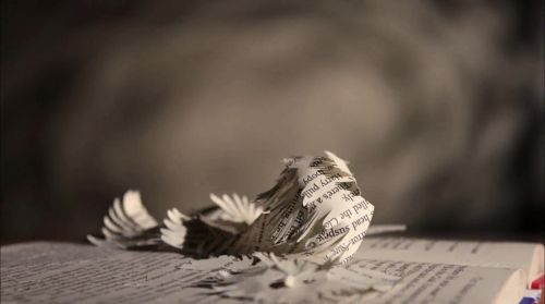 PottermoreAnuncio-Ish-123.jpg