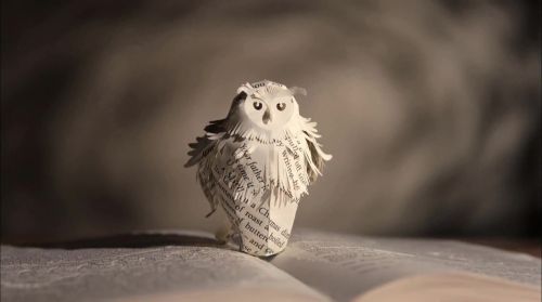 PottermoreAnuncio-Ish-133.jpg