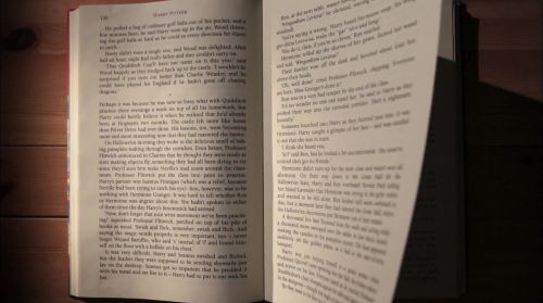 PottermoreAnuncio-Ish-14.jpg