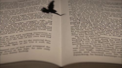 Click to view full size image
==============
PottermoreAnuncio-Ish-143.jpg PottermoreAnuncio-Ish-143.jpg