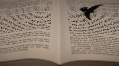 PottermoreAnuncio-Ish-146.jpg