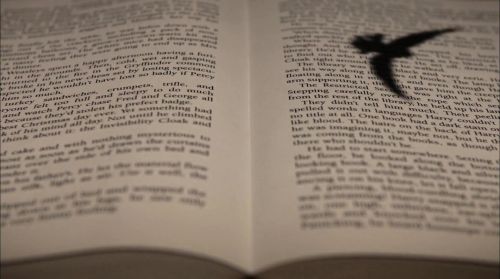 PottermoreAnuncio-Ish-147.jpg