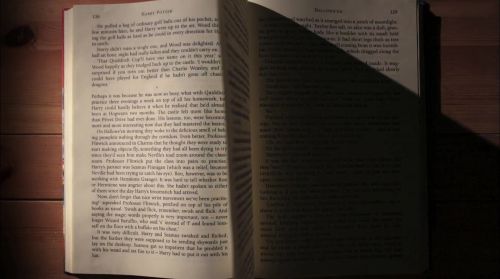 PottermoreAnuncio-Ish-15.jpg