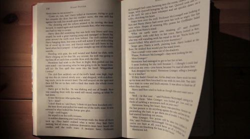 PottermoreAnuncio-Ish-23.jpg