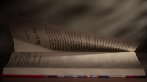 Click to view full size image
==============
PottermoreAnuncio-Ish-49.jpg PottermoreAnuncio-Ish-49.jpg