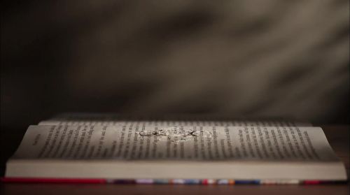 PottermoreAnuncio-Ish-50.jpg