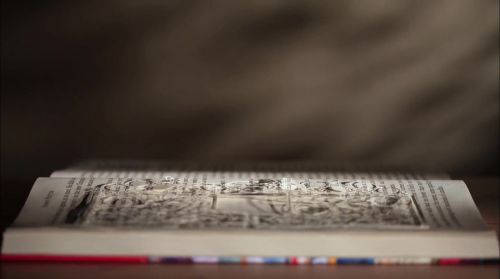 PottermoreAnuncio-Ish-54.jpg