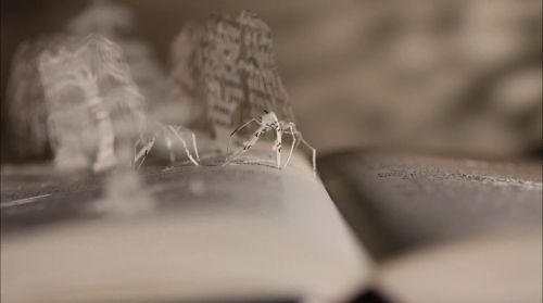 PottermoreAnuncio-Ish-84.jpg