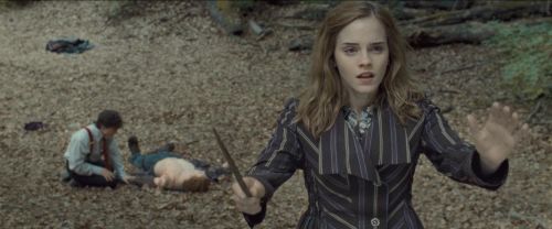 RdM-TVSpot1-Potterish117~0.jpg