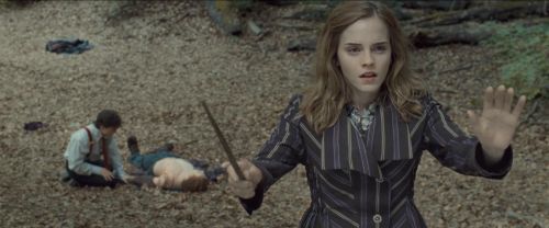 RdM-TVSpot1-Potterish119~0.jpg