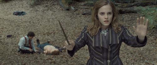 RdM-TVSpot1-Potterish122~0.jpg