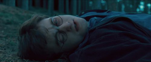 RdM-TVSpot1-Potterish143~0.jpg