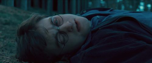 RdM-TVSpot1-Potterish144~0.jpg