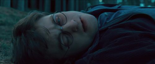RdM-TVSpot1-Potterish146~0.jpg