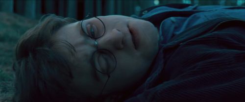 RdM-TVSpot1-Potterish147~0.jpg