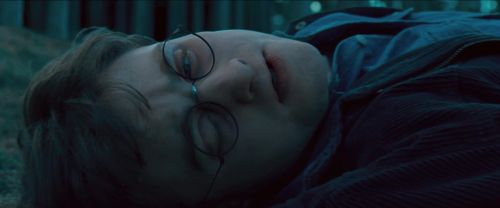 RdM-TVSpot1-Potterish148~0.jpg