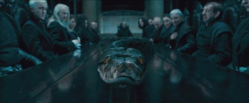RdM-TVSpot1-Potterish186~0.jpg