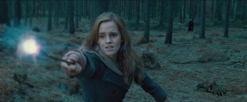 RdM-TVSpot1-Potterish201~0.jpg