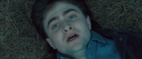RdM-TVSpot1-Potterish22~0.jpg