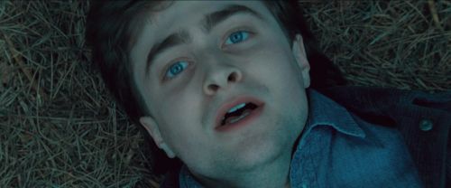RdM-TVSpot1-Potterish26~0.jpg
