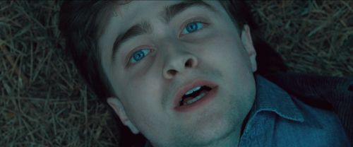 RdM-TVSpot1-Potterish30~0.jpg