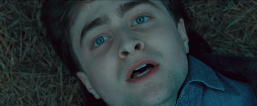 RdM-TVSpot1-Potterish31~0.jpg