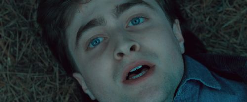 RdM-TVSpot1-Potterish33~0.jpg