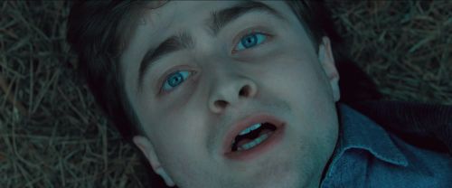 RdM-TVSpot1-Potterish34~0.jpg