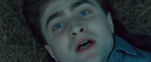 RdM-TVSpot1-Potterish35~0.jpg