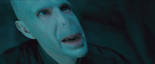 RdM-TVSpot1-Potterish49~0.jpg