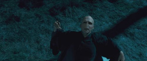 RdM-TVSpot1-Potterish52~0.jpg