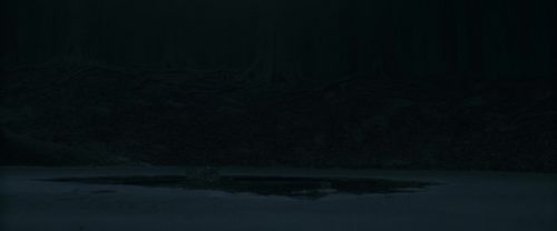 RdM1-Potterish10014.jpg