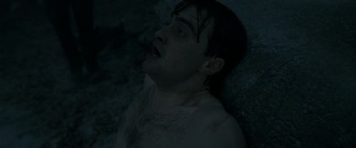 RdM1-Potterish10084.jpg