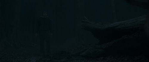 Click to view full size image
==============
RdM1-Potterish10097.jpg RdM1-Potterish10097.jpg
