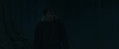 RdM1-Potterish10104.jpg