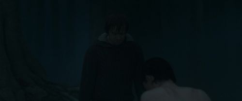RdM1-Potterish10105.jpg
