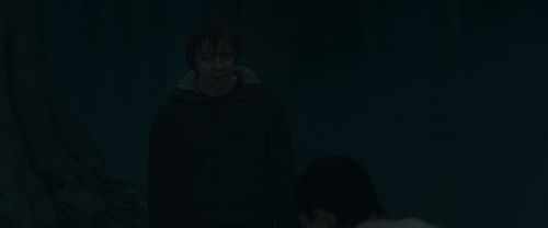 RdM1-Potterish10108.jpg