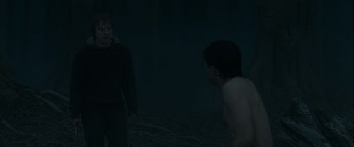 RdM1-Potterish10113.jpg